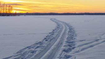 Winter Nature Snow road
