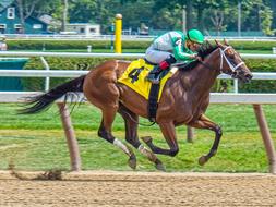 racing jockey