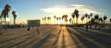 Basketball Sunset