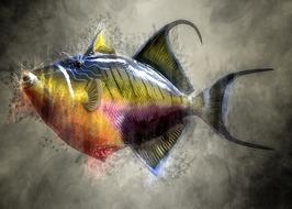 Colorful Trigger Fish drawing