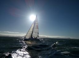 Sailing Racing