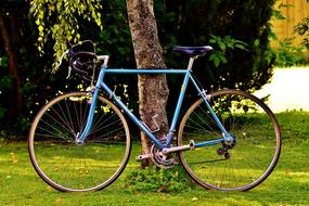 Blue bike, near the tree, on the meadow, among the beautiful and colorful plants