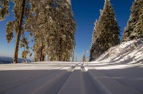 Cross-Country Ski Trail in deep Snow