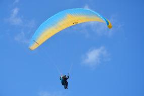 Free Flight with blue sky background with white clouds