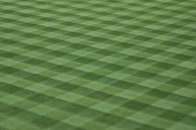 Baseball Field Landscape