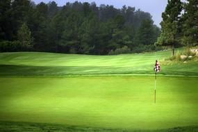 checkered flag on Golf course