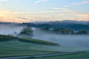 Fog Morning forest