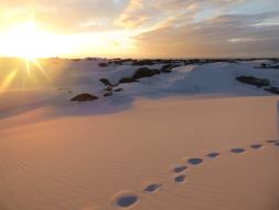 trace on the sand dunes