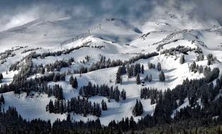 photo panorama of Mount Hood in Oregon