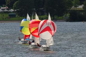 boats with bright sails on the lake on a sunny day