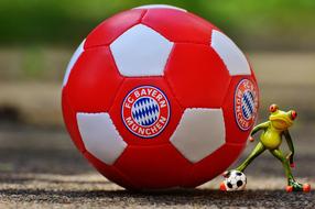 fotball with fc Bayern Munich logo beside of toy frog with tiny ball