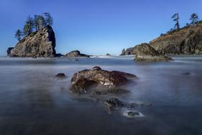 Beautiful landscape of the colorful Pacific coastline with rocks and trees in Washington State, USA