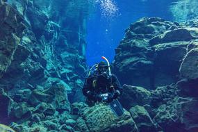Underwater Journey Of Discovery