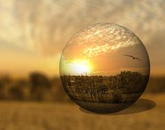 forest in the glass ball