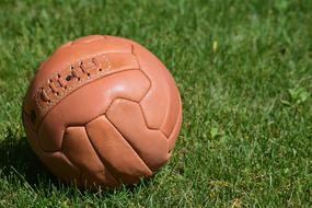 Leather Ball on lawn