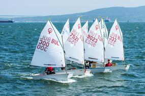 Sailing Competition in a sea