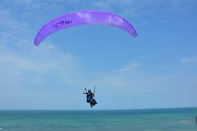 athlete flies on a purple parachute over the sea