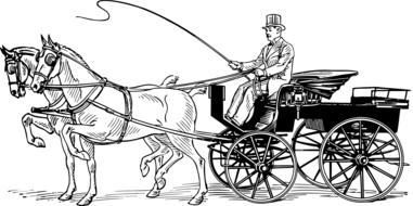 drawn horse carriage and a coachman