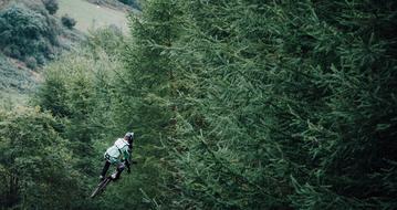 person riding Bicycle on air at trees