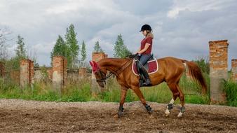 magnificent Horse Rider