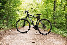 bike stands on the road in the forest