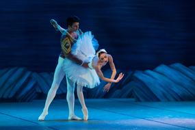 artists on stage ballet swan lake