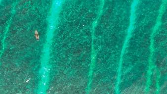 Beach Ocean green