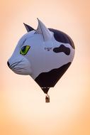 hot air balloon in the shape of a cat's head