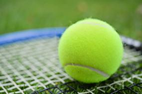 green Tennis Ball on Racket