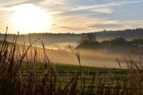 fog over the field in the morning