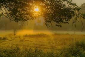 Sunrise and fog