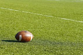 Brown and white American football with the shadow, on the green and white field, in light