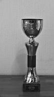 Cup Trophy