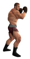 drawn muscular boxer with gloves