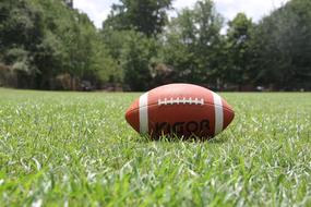 American Football ball on grass