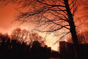 Skyline Urban