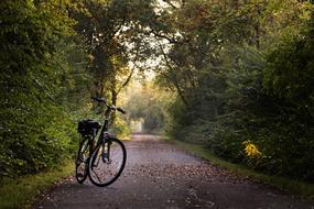 bike on the recreation path among the colorful plants