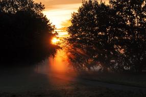 landscape of Autumn Dawn Backlighting