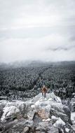 Landscape of the snowy Mountains and forest