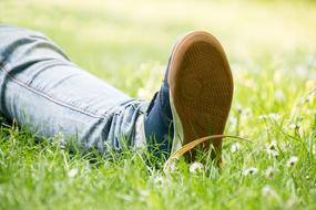 leg in jeans and sneaker lays on Grass