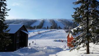 Snowy Winter landscape, ski resort