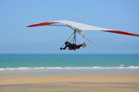 Man in a hang glider by the sea