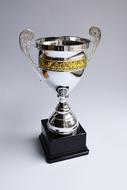Trophy Award
