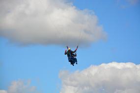 soaring paragliders