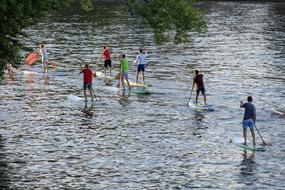 rowing on the boards on the river