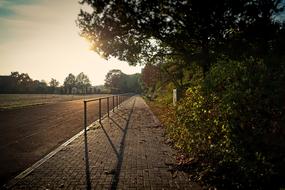 sport path in early morning