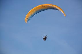 delightful Paragliders