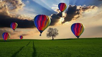 Colorful six Hot Air Balloons above green meadow, collage