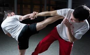 two young men Fighting, Martial Arts