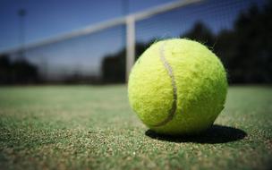 closeup picture of the tennis ball on a green coating